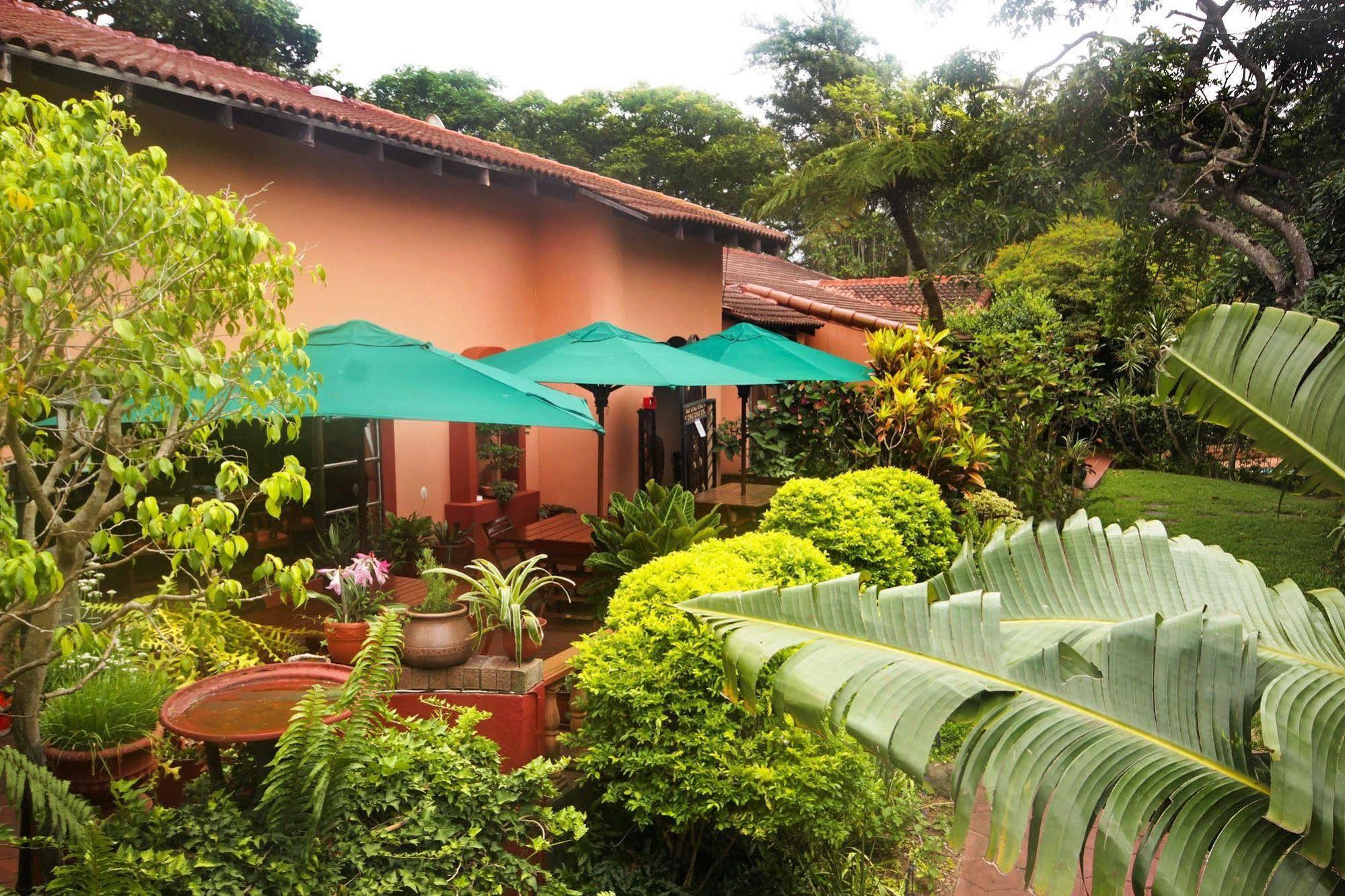 Santa Lucia Guest House Japaratinga Ngoại thất bức ảnh