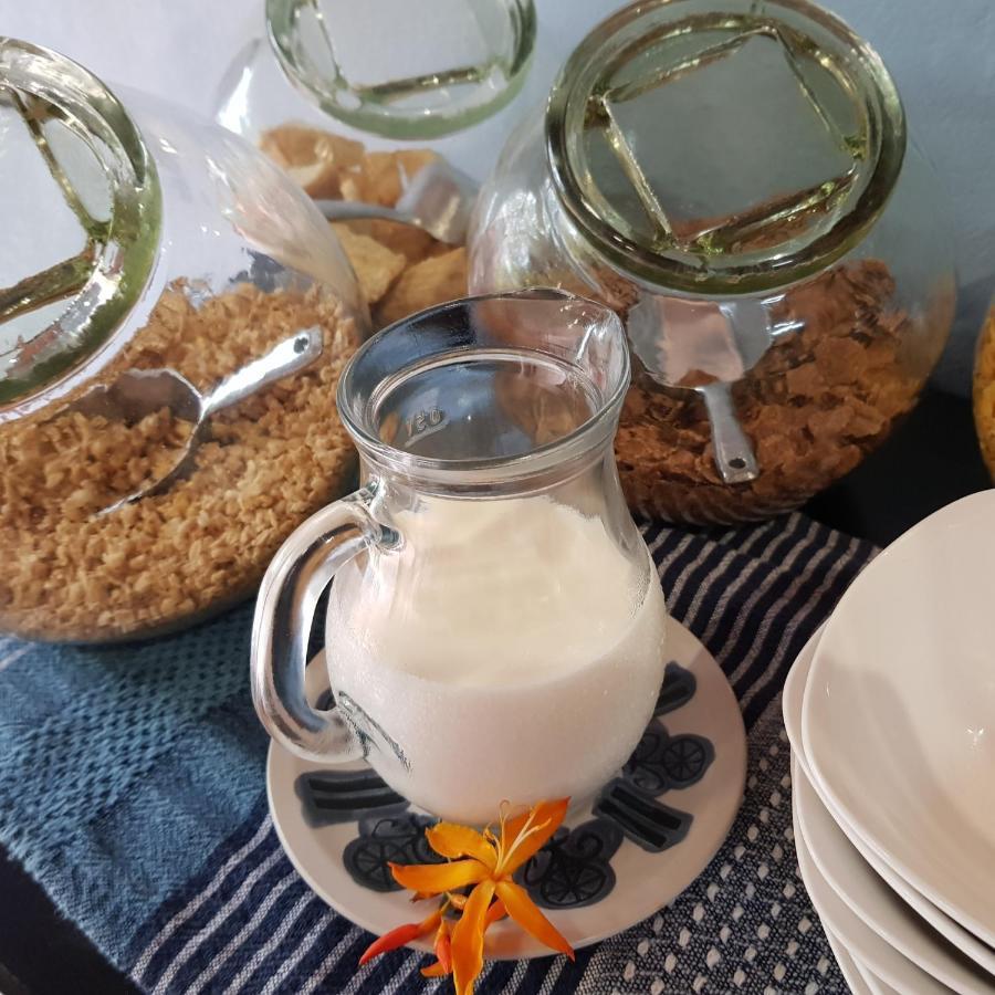 Santa Lucia Guest House Japaratinga Ngoại thất bức ảnh